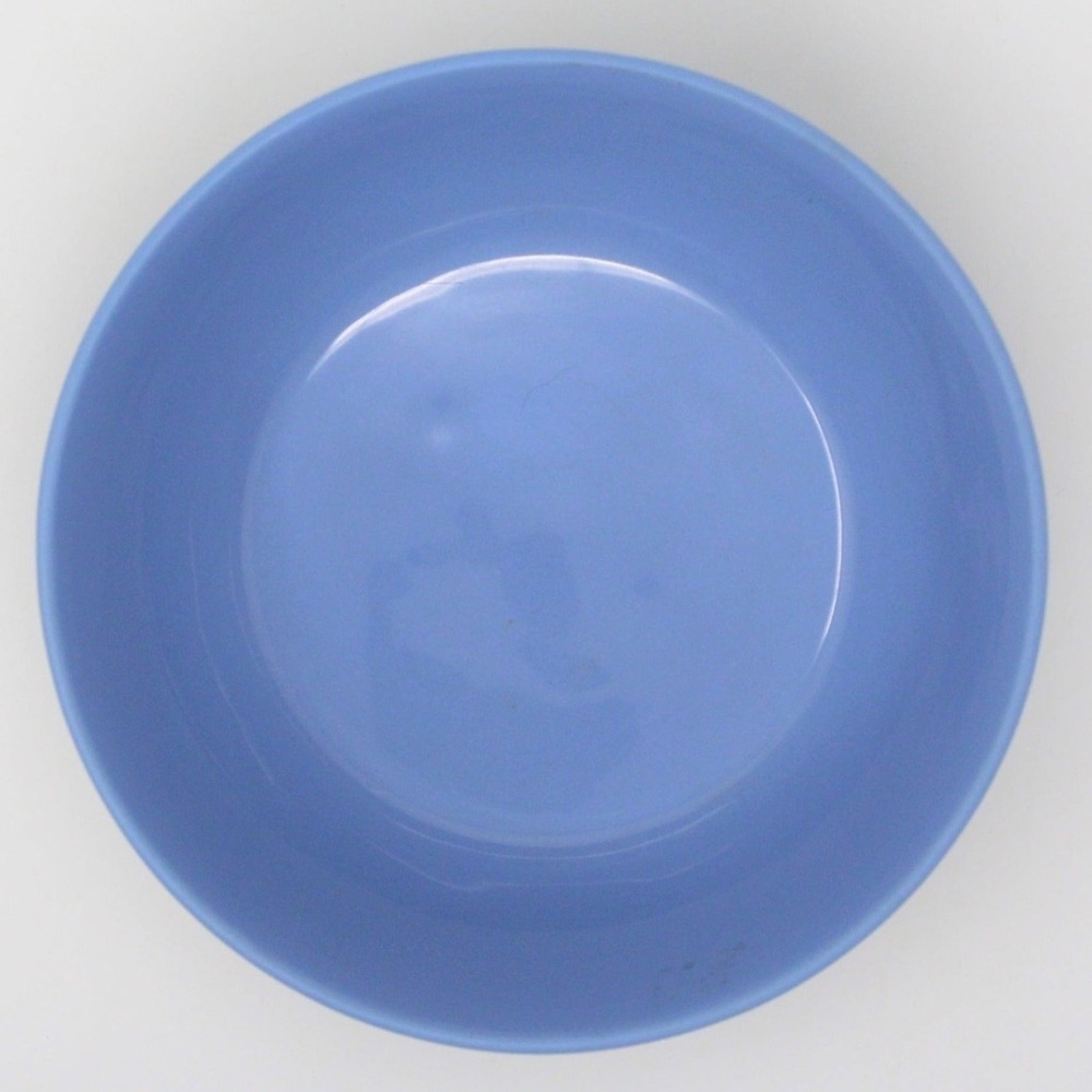 Glossy Ceramic 9 Inch Pasta Bowl - Blue